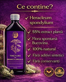 Tinctură de Brânca Ursului – Vitalitate, Fertilitate și Echilibru Hormonal | 500ml - Spiteria Vraciului