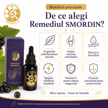 Remediu Natural Reumatism, Gută și Dureri Articulare – SMORDIN | 30ml - Spiteria Vraciului