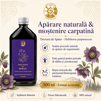 Tinctură de Spânz – Rețetă Străveche pentru Susținerea Organismului | 500ml - Spiteria Vraciului
