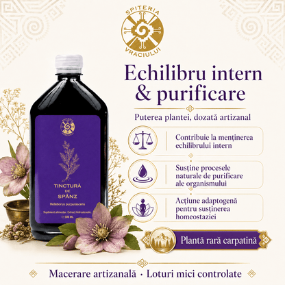 Tinctură de Spânz – Rețetă Străveche pentru Susținerea Organismului | 500ml - Spiteria Vraciului