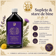 Tinctură pentru Suplețe Articulară și Mobilitate – Stare de Bine | 500ml - Spiteria Vraciului