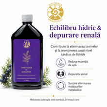 Tinctură de Ienupăr – Sănătatea Rinichilor și Tractului Urinar | 500ml - Spiteria Vraciului