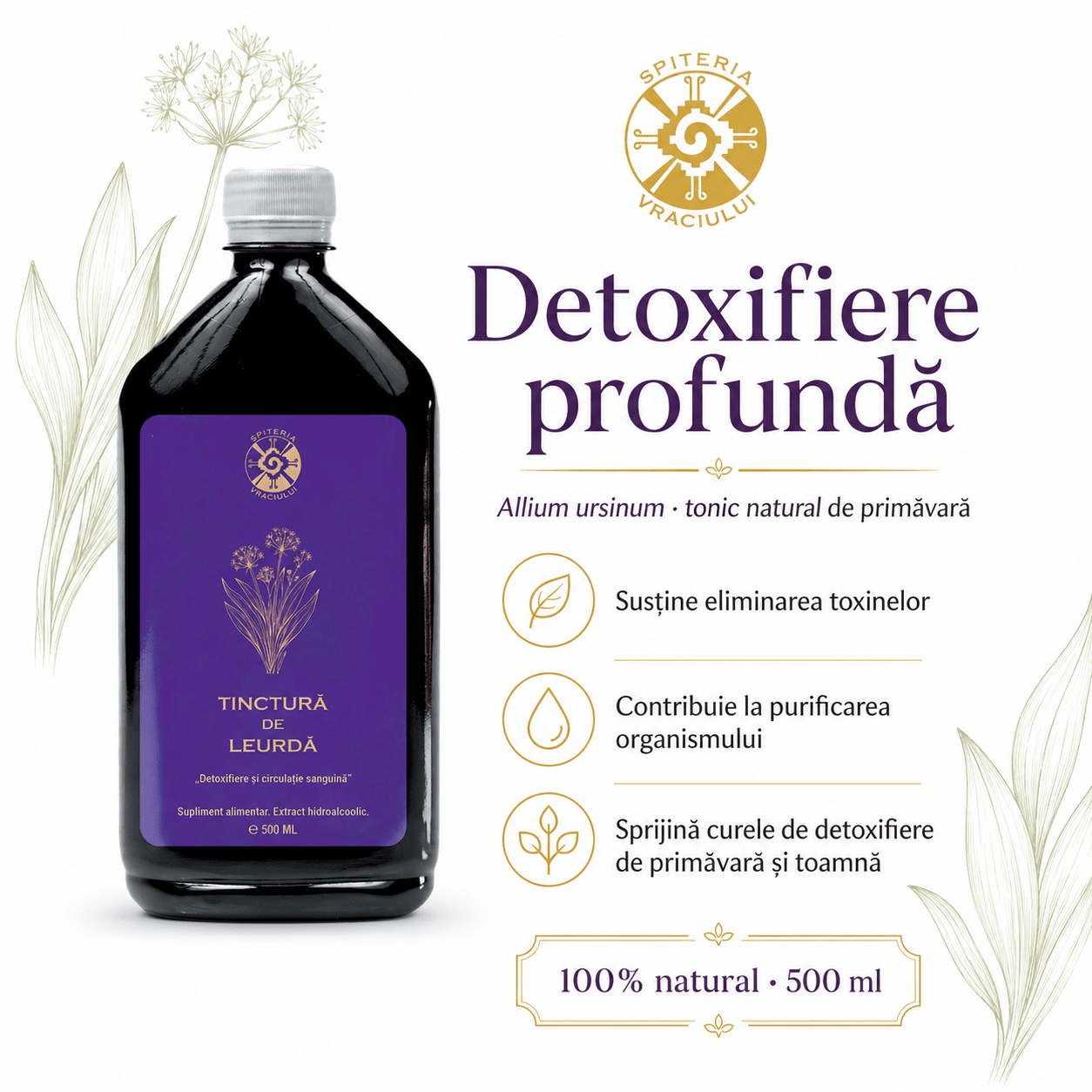 Tinctură de Leurdă – Detoxifiere și Circulație Sanguină | 500ml - Spiteria Vraciului