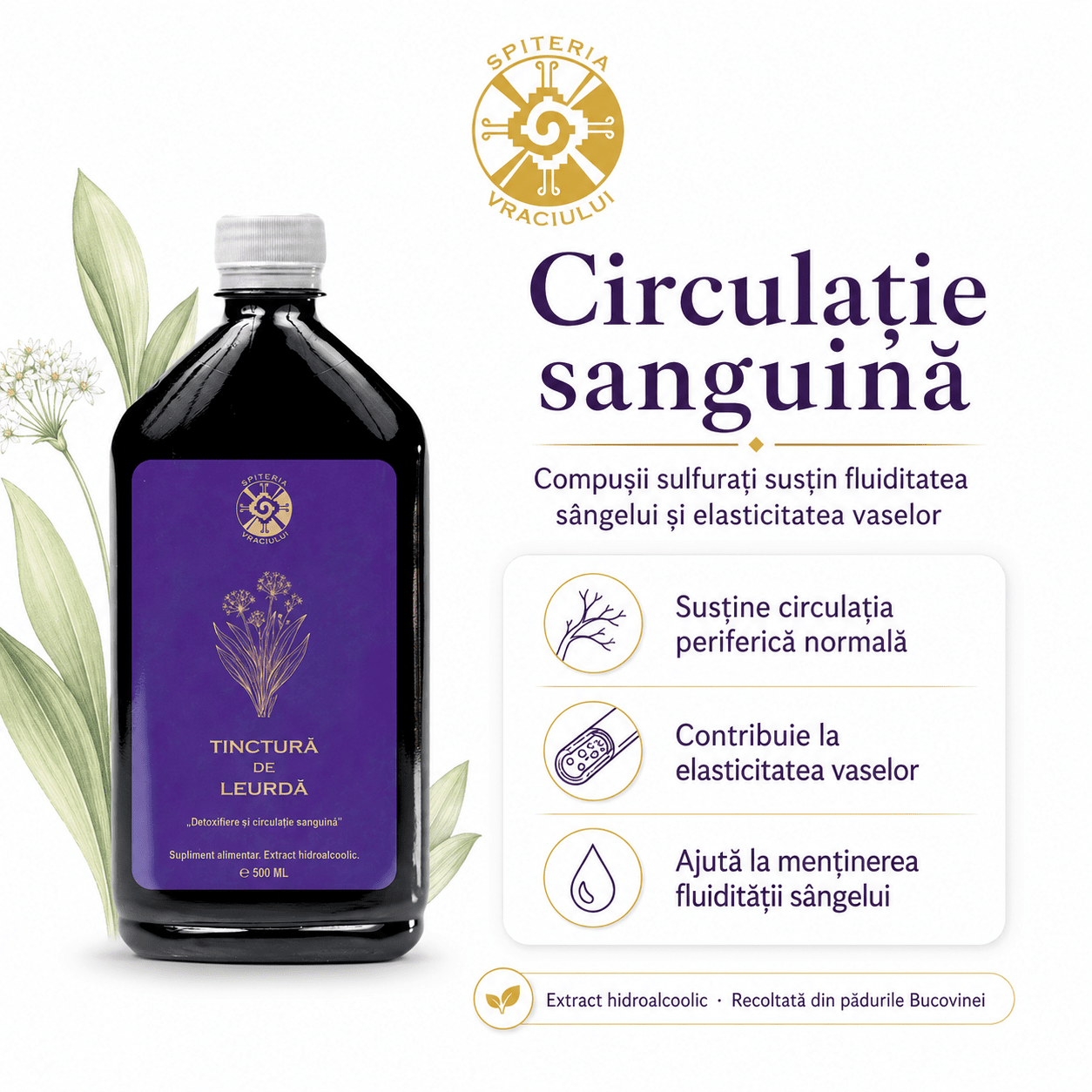 Tinctură de Leurdă – Detoxifiere și Circulație Sanguină | 500ml - Spiteria Vraciului