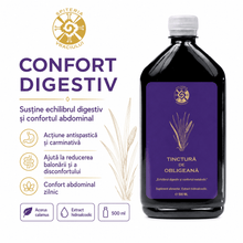 Tinctură de Obligeană – Echilibru Digestiv și Confort Metabolic | 500ml - Spiteria Vraciului
