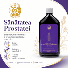Tinctură de Pufuliță și Ghimpe – Prostată și Confort Urinar | 500ml - Spiteria Vraciului