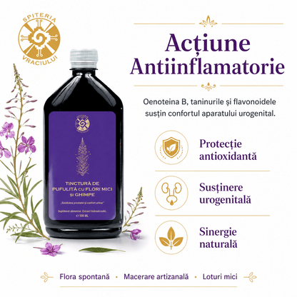Tinctură de Pufuliță și Ghimpe – Prostată și Confort Urinar | 500ml - Spiteria Vraciului